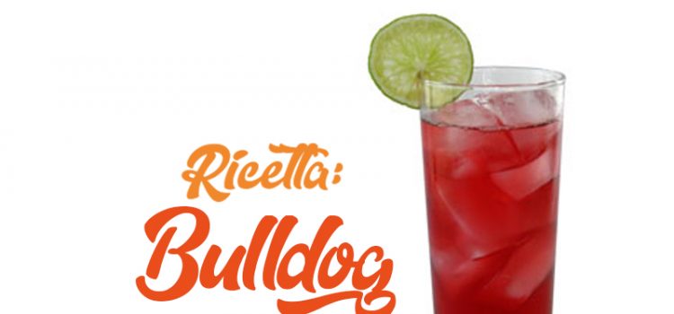 APERITIVIAMO Bulldog cocktail