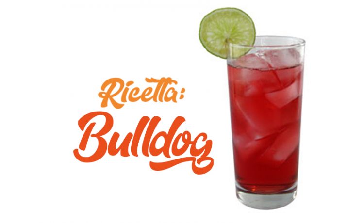 APERITIVIAMO Bulldog cocktail